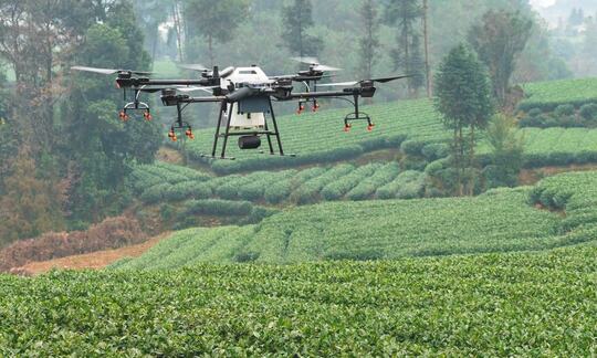 Роспотребнадзор упростил правила обработки полей