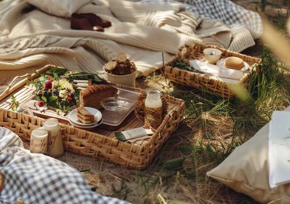 Как организовать пикник?