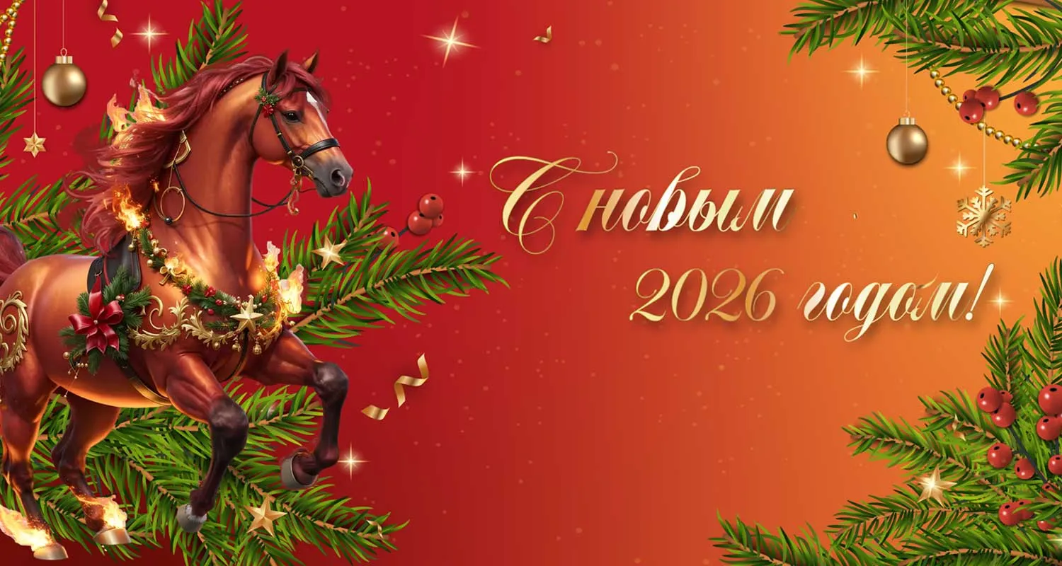 С наступающим 2026 годом!