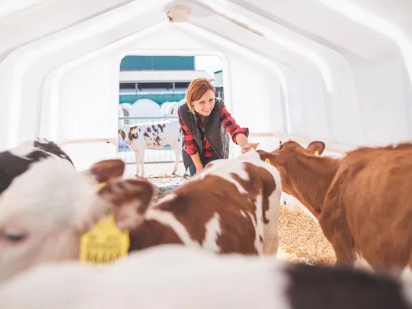 Обучение по охране труда при работе с животными