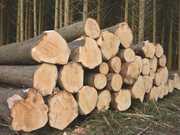 Обучение безопасным методам выполнения работ повышенной опасности при ведении работ по перемещению тяжеловесных и крупногабаритных грузов (ИД46В_21)