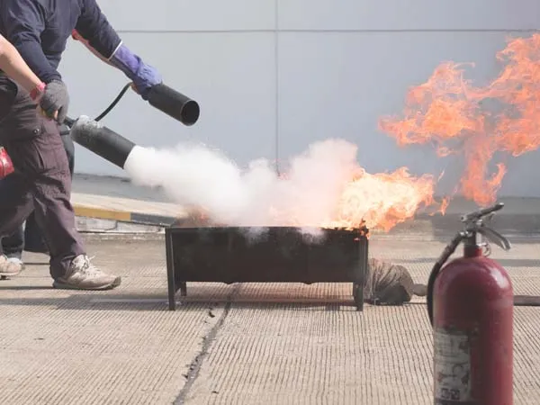 Обучение должностных лиц и работников гражданской обороны и единой государственной системы предупреждения и ликвидации чрезвычайных ситуаций – курсы повышения квалификации